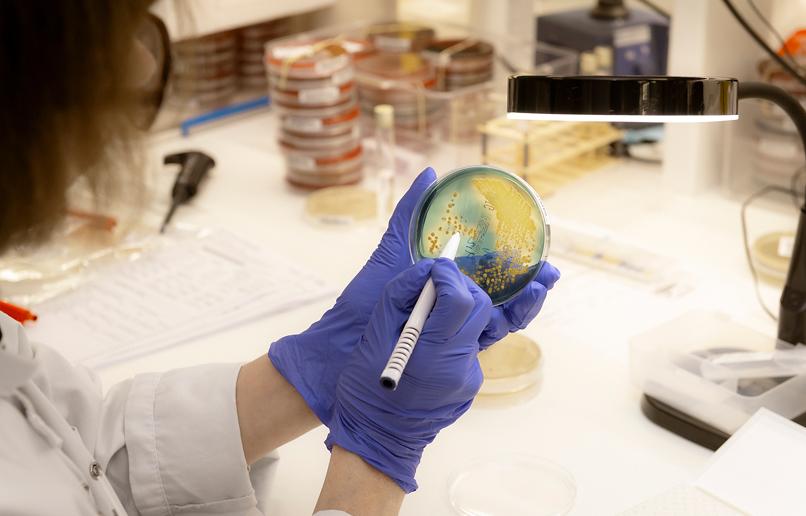 Médicaments de demain