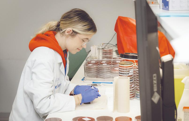 Formation internationale